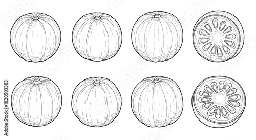 Hand drawn sketch of whole and sliced kiwifruit in black and white