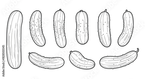 Collection of hand drawn cucumbers in black and white sketch style