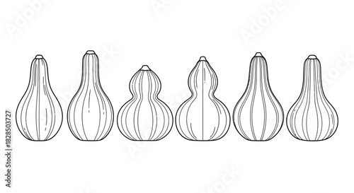 Collection of six elegant glass perfume bottles in a line sketch