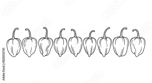 Hand drawn line art illustration of a row of jalapeno peppers