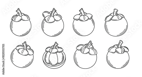 Collection of hand drawn eggplant illustrations in sketchy style