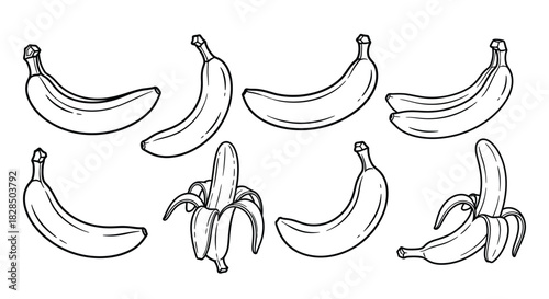 Collection of hand drawn banana illustrations in sketch style