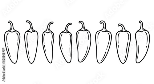 Hand drawn line art illustration of a row of jalapeno peppers