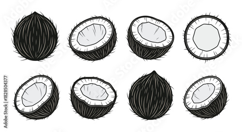 Set of hand drawn coconut illustrations whole and halved