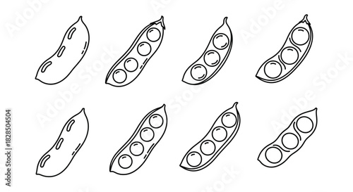 Hand drawn illustration of fresh edamame pods with beans