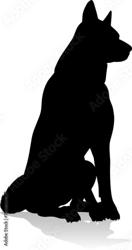 A detailed animal silhouett...