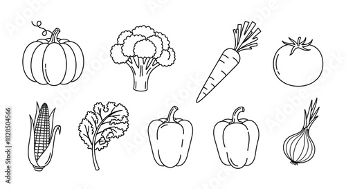 Hand drawn sketch of various fresh vegetables on a white background