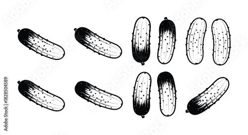 Hand drawn illustration of fresh cucumbers in black and white