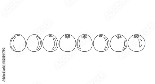 Row of hand drawn blueberries in a line on white background