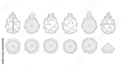 Collection of ornamental dragon fruit illustrations with intricate patterns