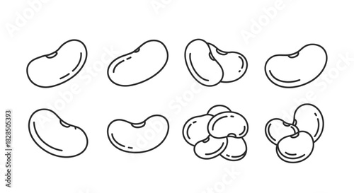 Collection of hand drawn kidney beans in outline style