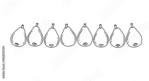 Hand drawn sketch of multiple pears in a row on white background