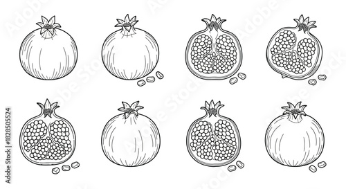 Hand drawn sketch illustrations of whole and halved pomegranates