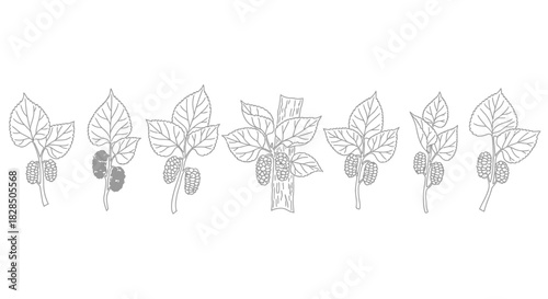Line art illustration of multiple young plant sprouts with roots