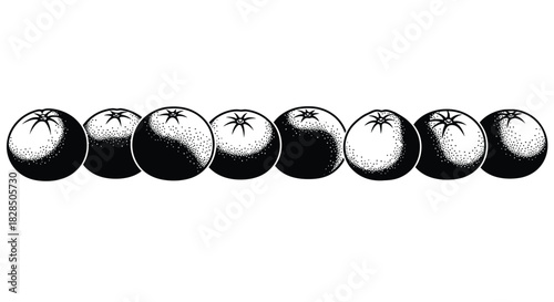 Row of aronia berries in black and white illustration