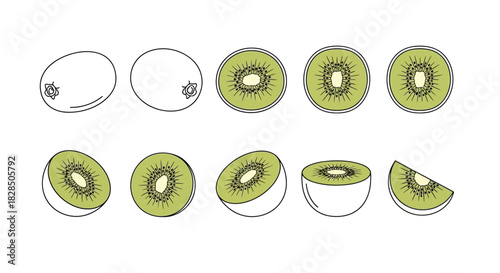 Collection of hand drawn kiwi fruit slices and whole fruit