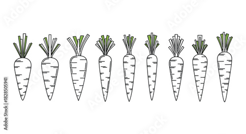 Collection of hand drawn carrots with green tops on white background