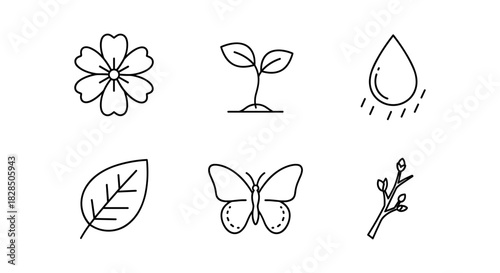 Minimalist nature icons set: flower, leaf, seedling, butterfly, water drop, branch