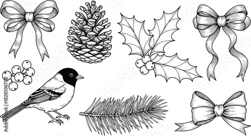 Detailed black and white vector engraving set featuring festive ribbon bows, pine cone, bullfinch bird, holly berry leaves, and fir tree branches for seasonal design.