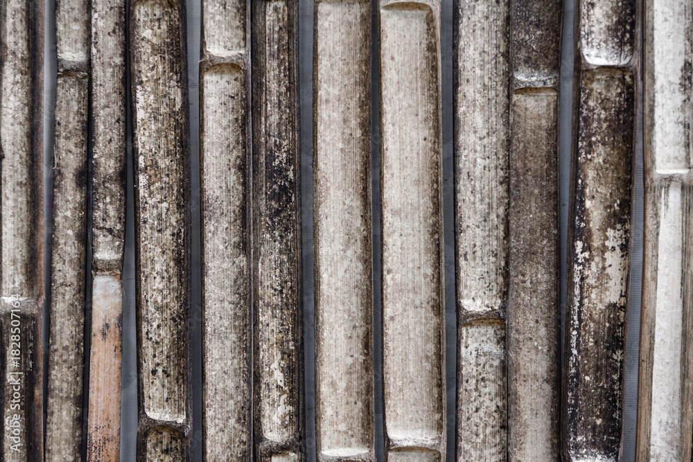 Fototapeta premium Unclean bamboo fence with mold