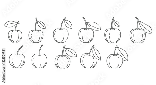 Collection of hand drawn cherry illustrations in a simple line art style