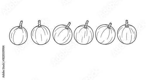 Hand drawn sketch of six oval shaped pumpkins in a row
