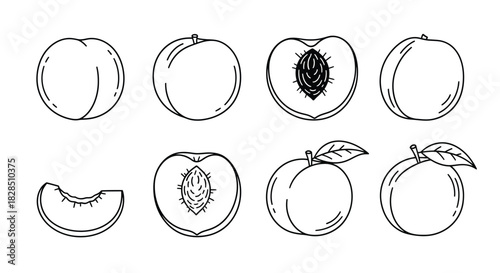 Hand drawn sketch illustrations of peaches and plums in various forms