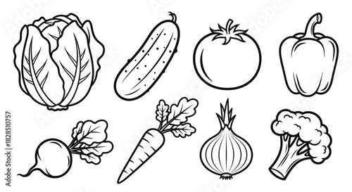 Collection of fresh vegetables drawn in a simple black and white line art style