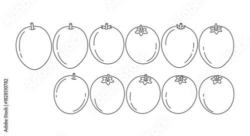 Hand drawn outline of ten fresh mangoes in two rows