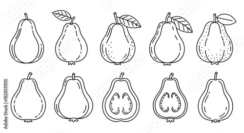 Collection of hand drawn pear illustrations in outline style