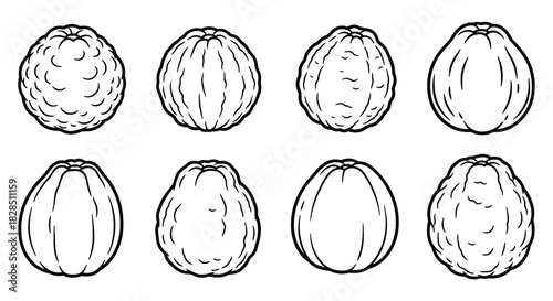 Collection of hand drawn line art illustrations of whole and peeled citrus fruits