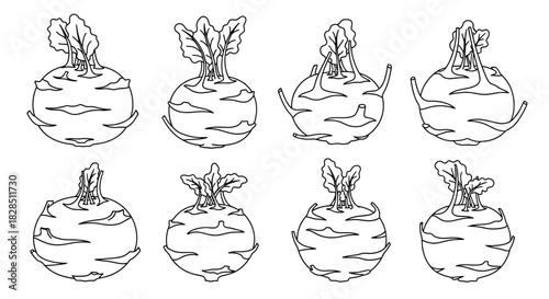 Collection of hand drawn black and white illustrations of root vegetables