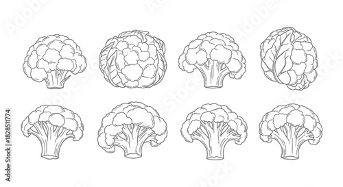 Hand drawn line art illustrations of artichokes and broccoli florets