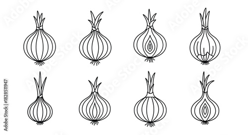 Collection of hand drawn onion halves and whole onions in sketch style