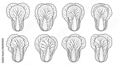Collection of eight hand drawn bok choy illustrations in black and white