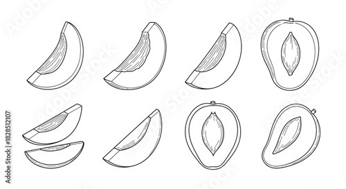 Hand drawn black and white slices of papaya fruit illustration
