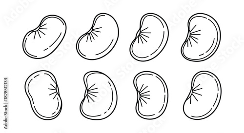 Hand drawn collection of kidney bean illustrations in black and white outline style