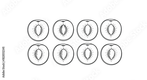 Eight hand drawn slices of kiwi fruit in a row