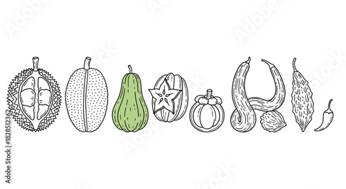 Collection of hand drawn botanical illustrations of exotic fruits and vegetables
