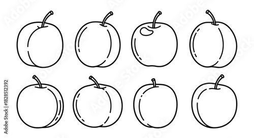 Collection of hand drawn plum illustrations in black and white
