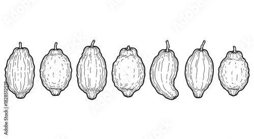 Set of hand drawn lemons in a row black and white sketch