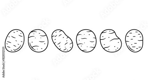 Simple hand drawn illustration of six potatoes in a row