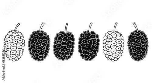 Six textured pine cones in a row with alternating light and dark shading