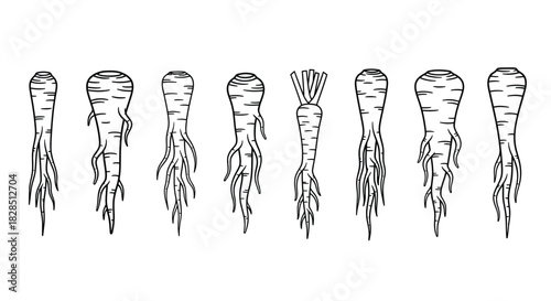 Row of stylized icicles with a hand drawn artistic appearance