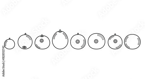 Collection of oval shaped pendants and charms in a row