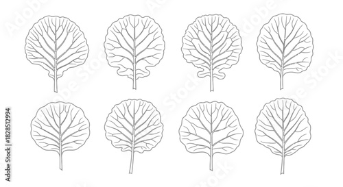 Collection of stylized line art illustrations of kale leaves