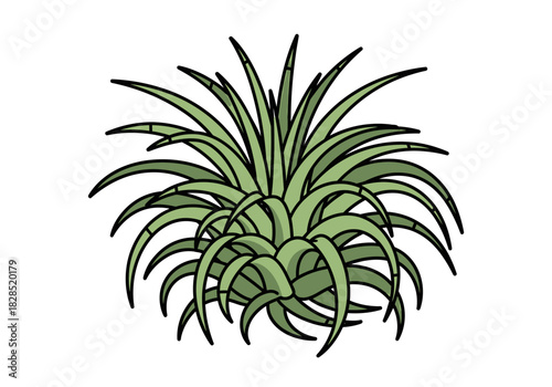 Illustration of a Green Houseplant