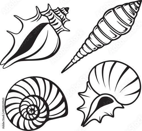 A beautiful vector illustration featuring a nature pattern of colorful spiral seashells and nautilus shells