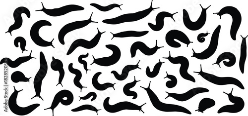 A dense collection of slug and snail silhouettes in various crawling and curled poses, illustrating garden pests, mollusks, gastropods, and nature wildlife patterns.