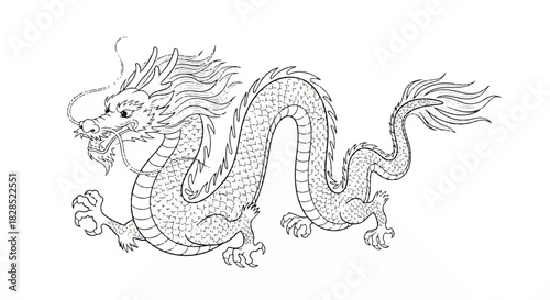 Elegant black and white Chinese dragon graphic drawing, featuring graceful smooth linework and a powerful traditional mythological form isolated on a pure white backdrop.